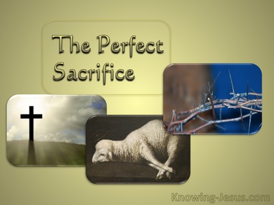 Sacrifice and Offering  (Easter Reflections - (9)